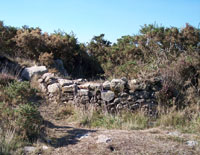 Castro da Cid