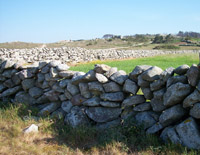 Muro de pedra en Amendo